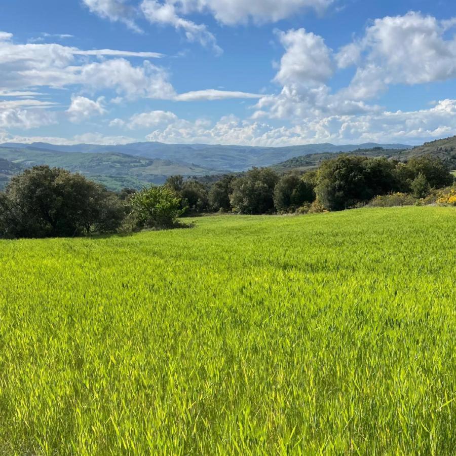 Villa Dendrane Granes Esterno foto