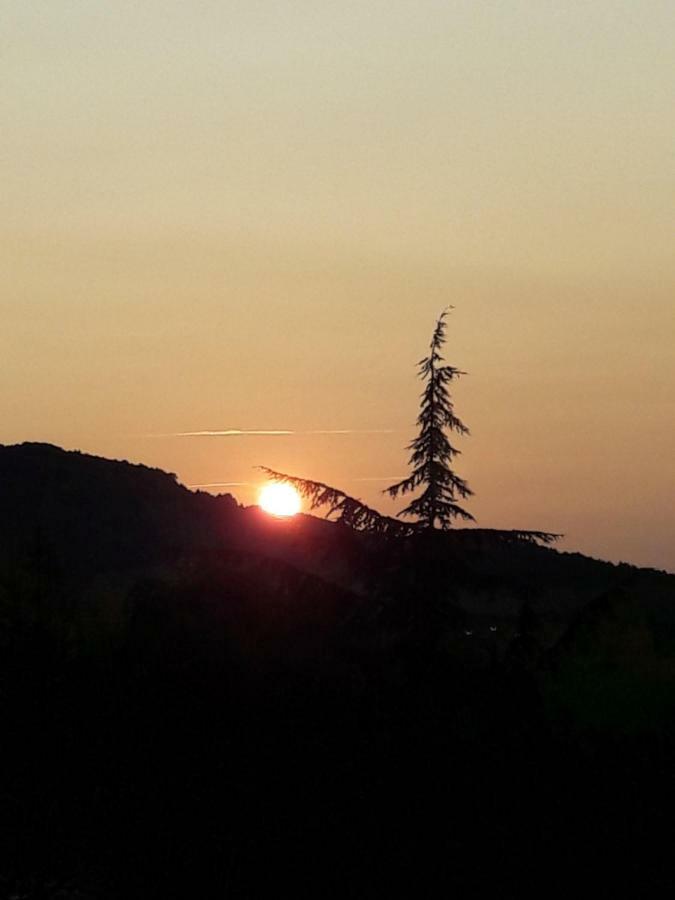 Villa Dendrane Granes Esterno foto
